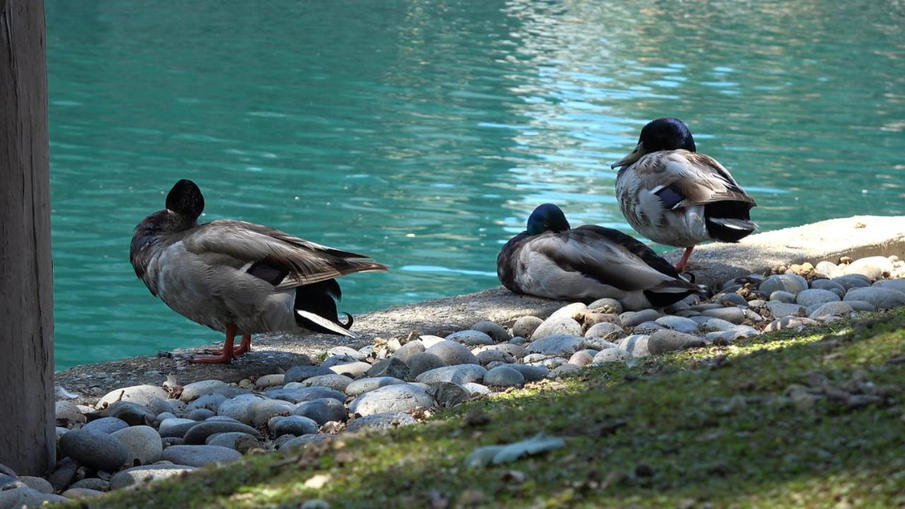 Blue Lagoon Near Apple Apartment Santa Clara Exterior photo